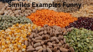 Read more about the article 15+100 Similes Examples Funny for Students