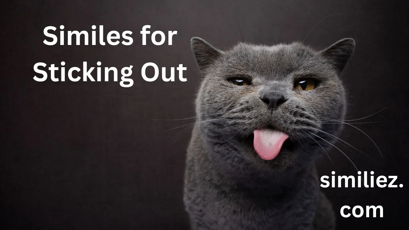 You are currently viewing 25+ Similes for Sticking Out