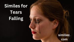 Read more about the article 25+ Similes for Tears Falling