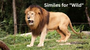 Read more about the article 10+ Similes for “Wild”