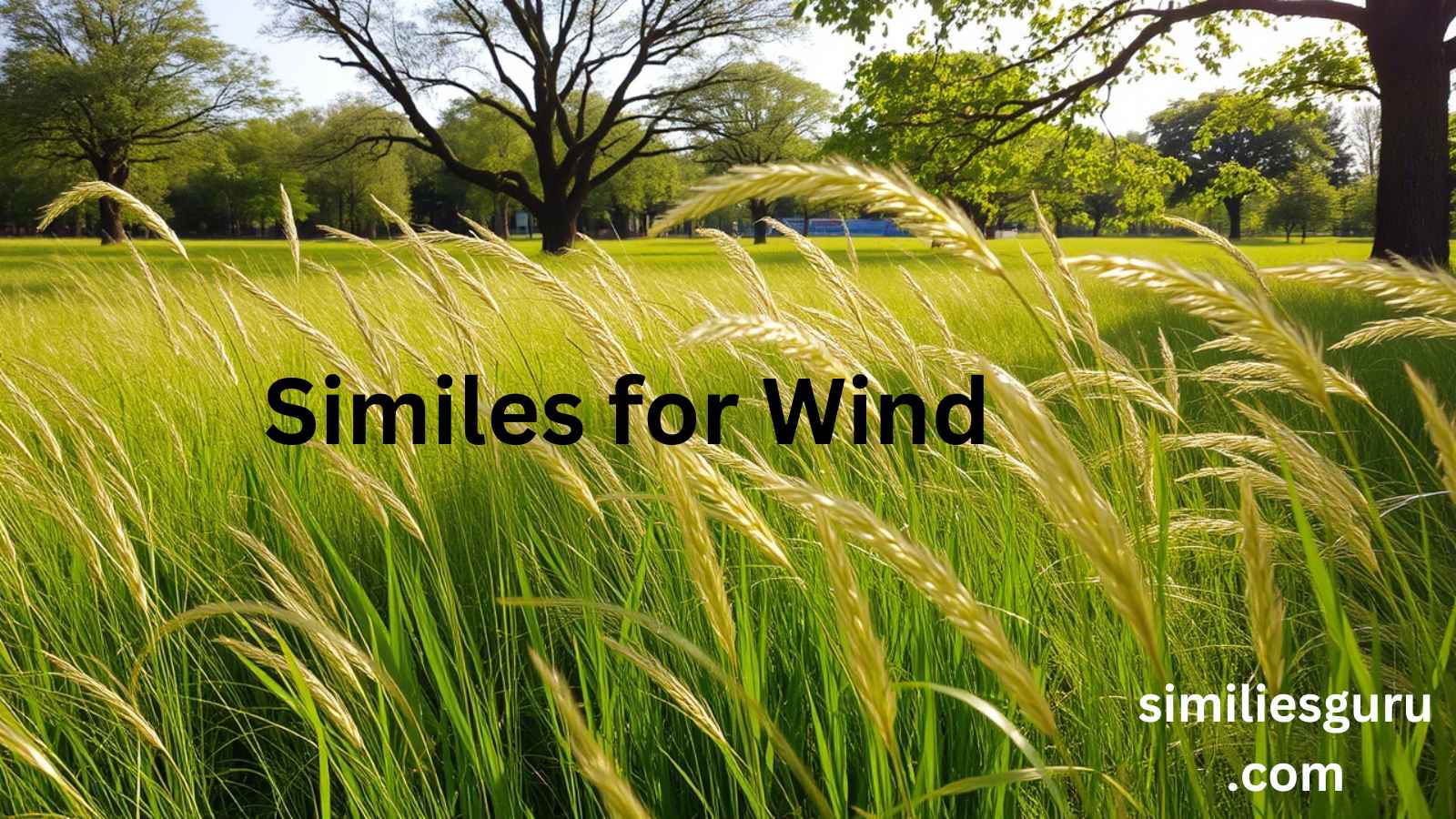 You are currently viewing 15+ Similes for Wind