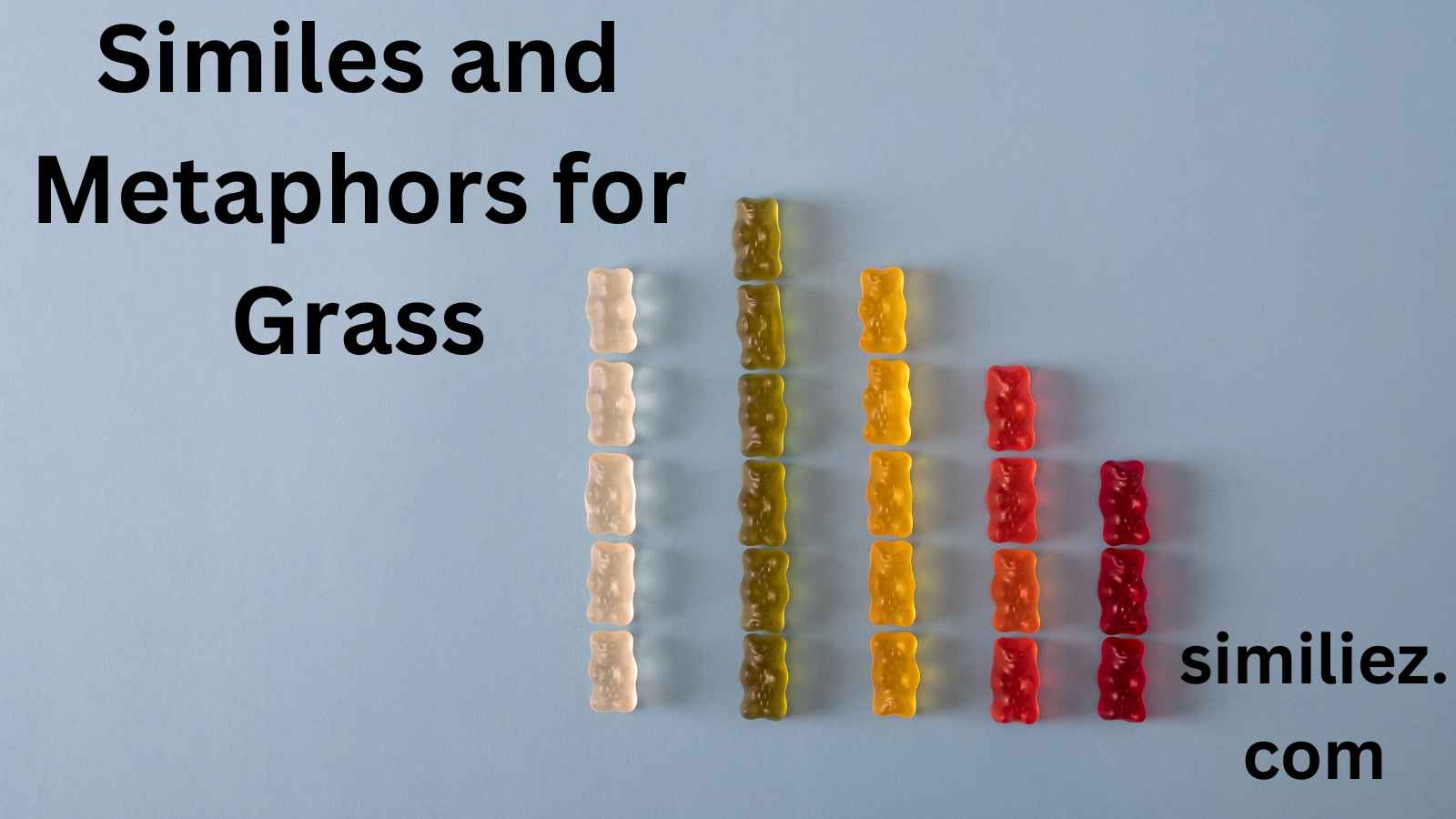 Read more about the article 25+ Similes and Metaphors for Grass