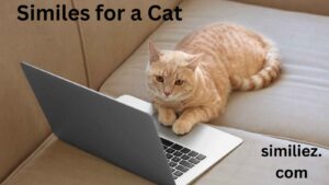 Read more about the article 15+ Similes for a Cat: Expressing with Elegance and Precision