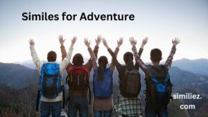 Read more about the article 10+ Similes for Adventure