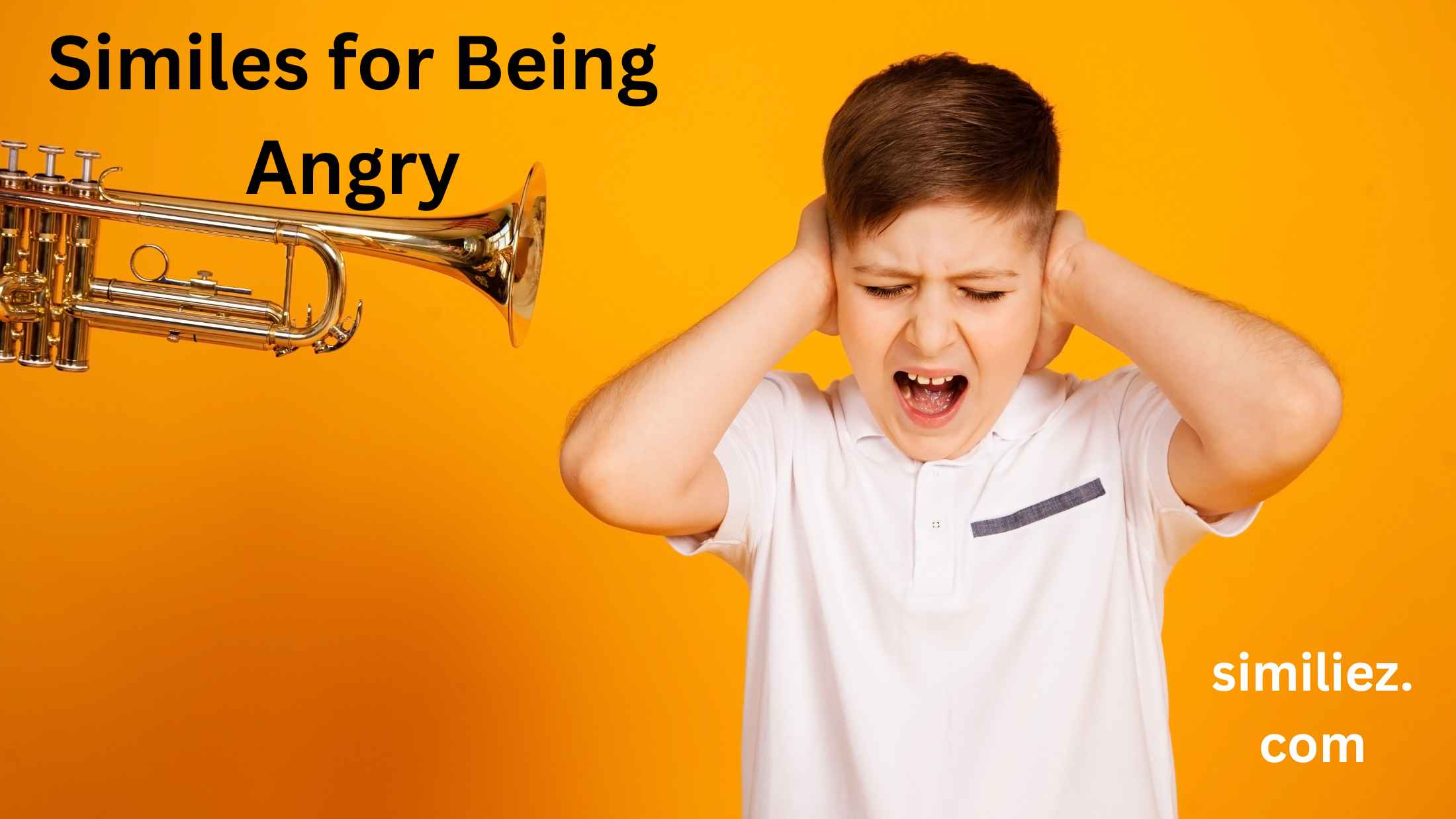 You are currently viewing 20+ Similes for Being Angry