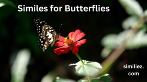 Read more about the article 20+ Similes for Butterflies