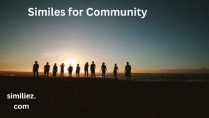 Read more about the article 10+ Similes for Community