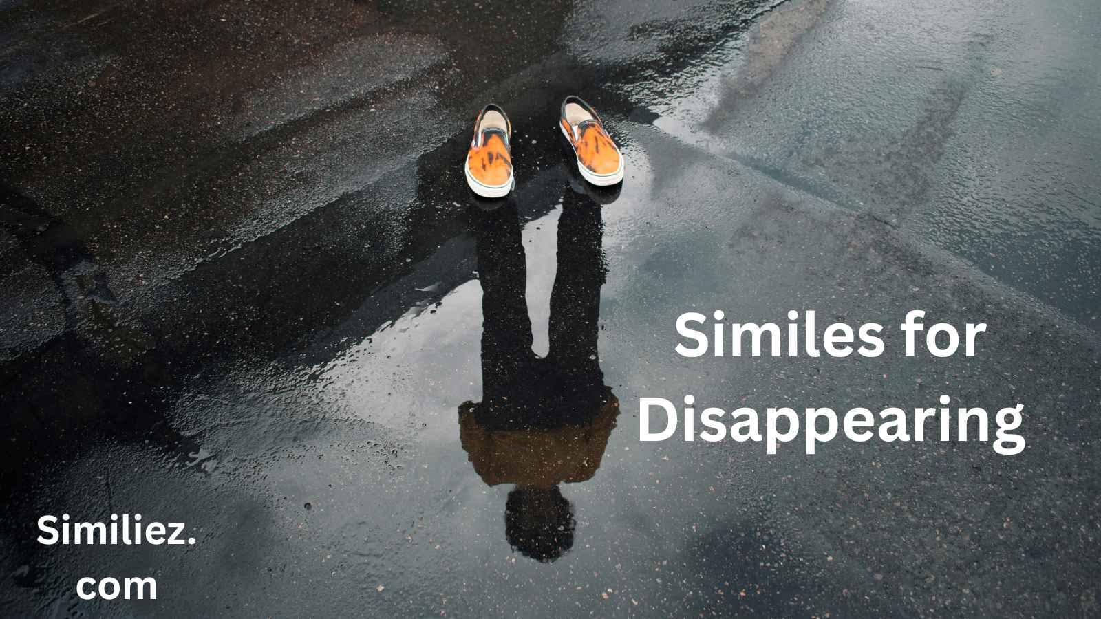 You are currently viewing 25+ Similes for Disappearing