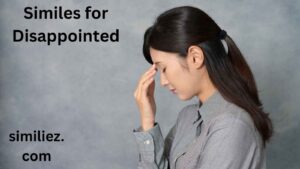 Read more about the article 15+ Similes for Disappointed
