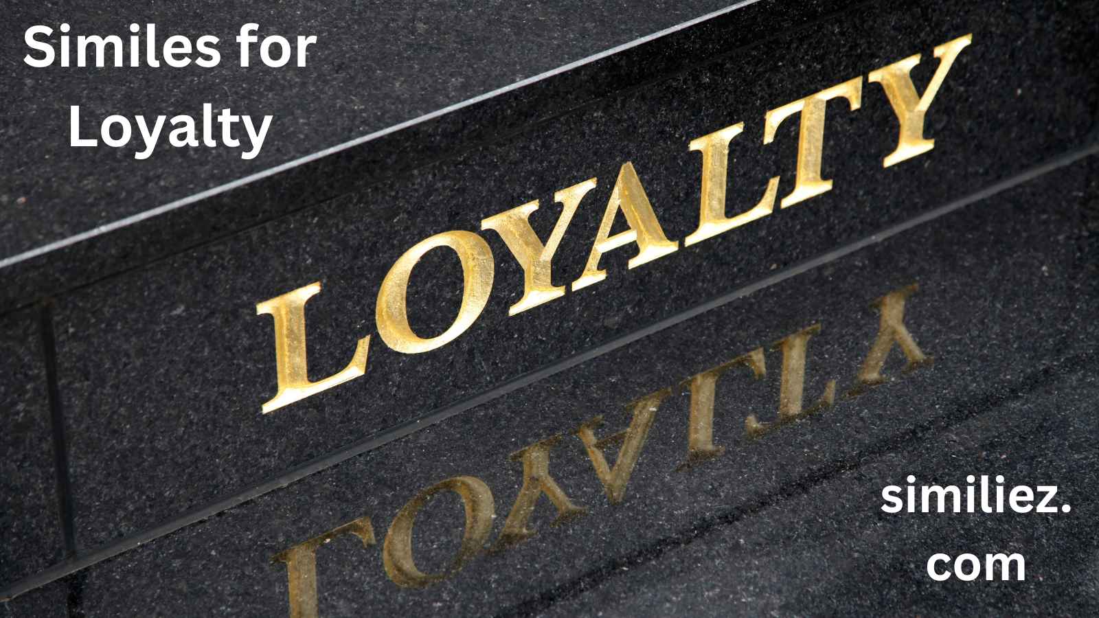 Read more about the article 15+ Similes for Loyalty