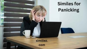 Read more about the article 10+ Similes for Panicking