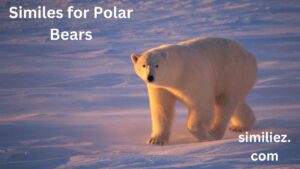 Read more about the article 20+ Similes for Polar Bears