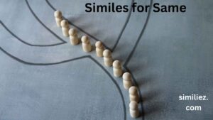 Read more about the article 10+ Similes for Same