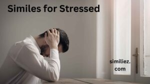 Read more about the article 25+ Similes for Stressed