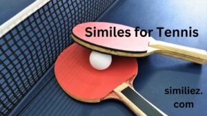 Read more about the article 20+ Similes for Tennis,” 