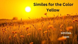 Read more about the article 10+ Similes for the Color Yellow