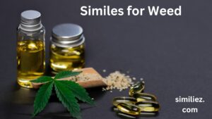Read more about the article  25+ Similes for Weed