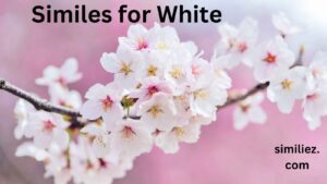 Read more about the article 25+ Similes for White