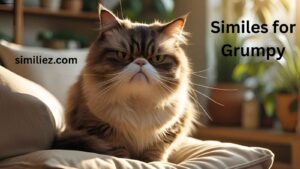 Read more about the article 20+ Similes for Grumpy: Expressing Mood with Style and Sensitivity